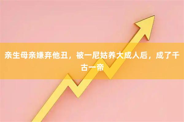 亲生母亲嫌弃他丑，被一尼姑养大成人后，成了千古一帝