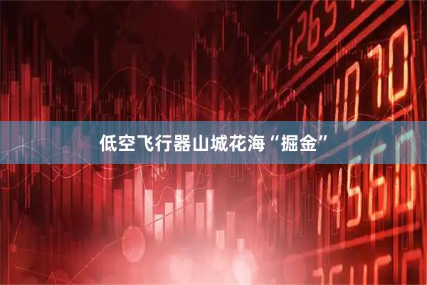 低空飞行器山城花海“掘金”